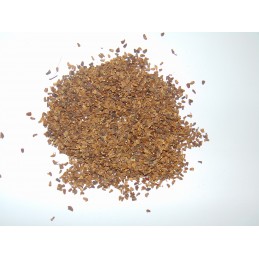 Quiko nasiona chryzantemy -100g
