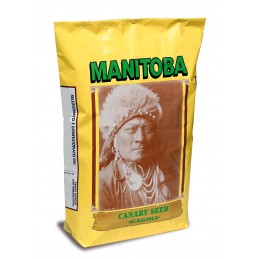 Manitoba 3081SA nasiona...