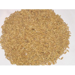 Ryż Paddy 1 kg